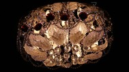 Люстра галогенная 3592 CR/9 WT+RBP (E14), фото 4