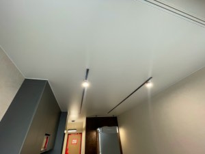 Натяжной потолок с трековыми светильниками
